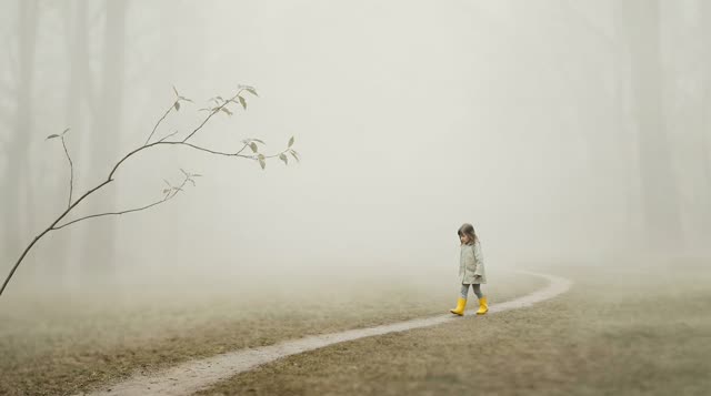 Scene 1 - Lily et la Magie de la Forêt