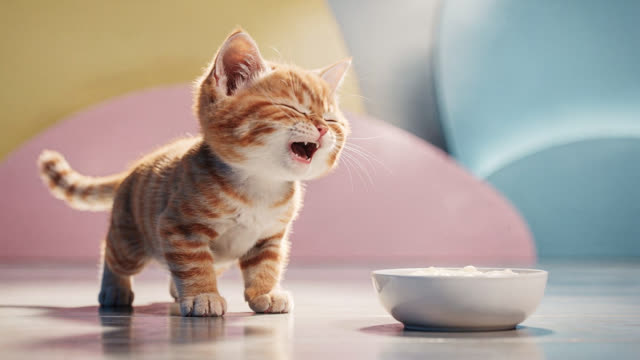 Scene 3 - Aaja Billi