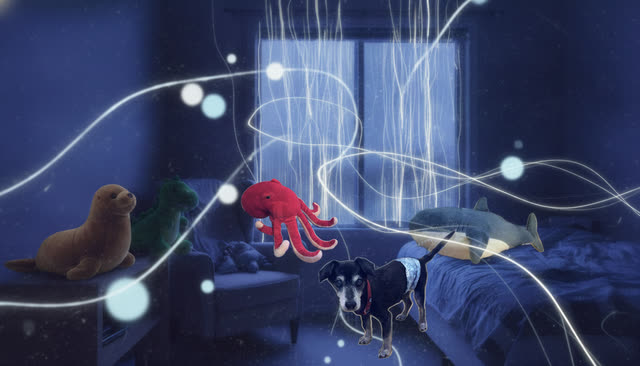 Scene 6 - Renwik’s locomotion ride