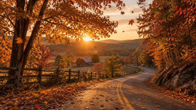 Scene 1 - The Autumn Between Us