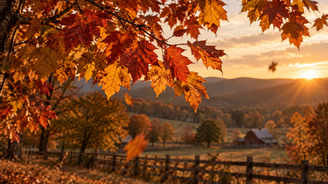 Scene 3 - The Autumn Between Us