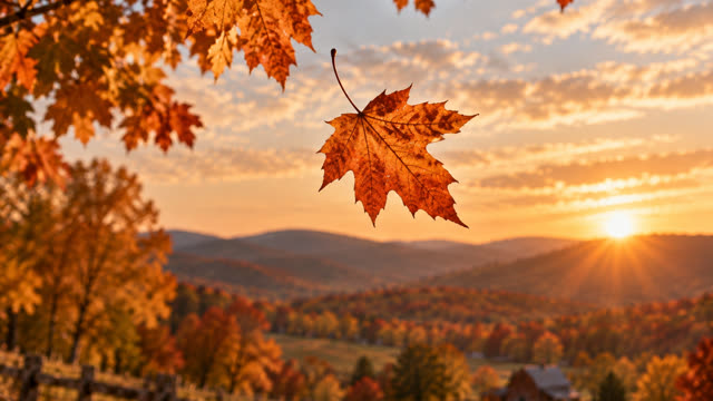 Scene 13 - The Autumn Between Us