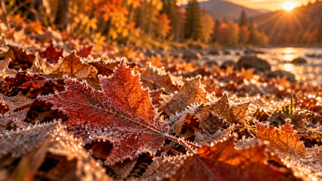 Scene 32 - The Autumn Between Us