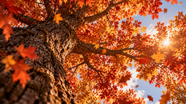 Scene 36 - The Autumn Between Us
